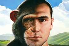 monkey-human-similar-brain